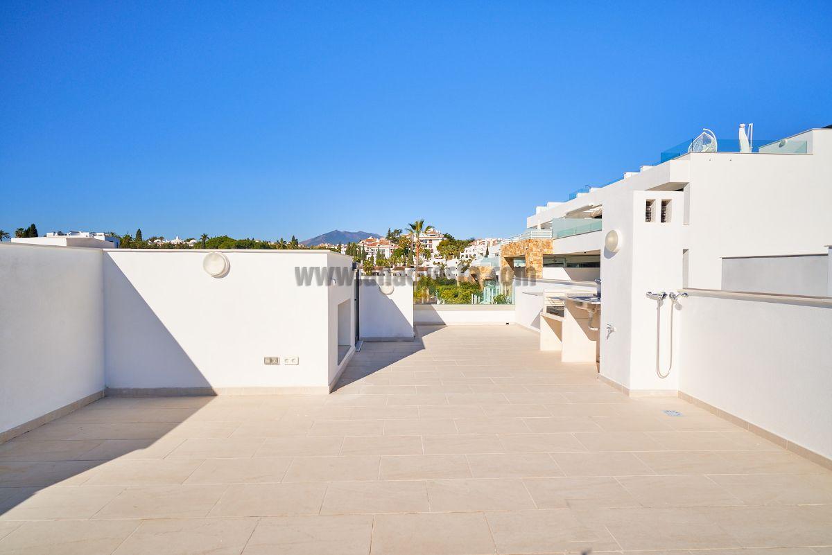 Terrace Terrace