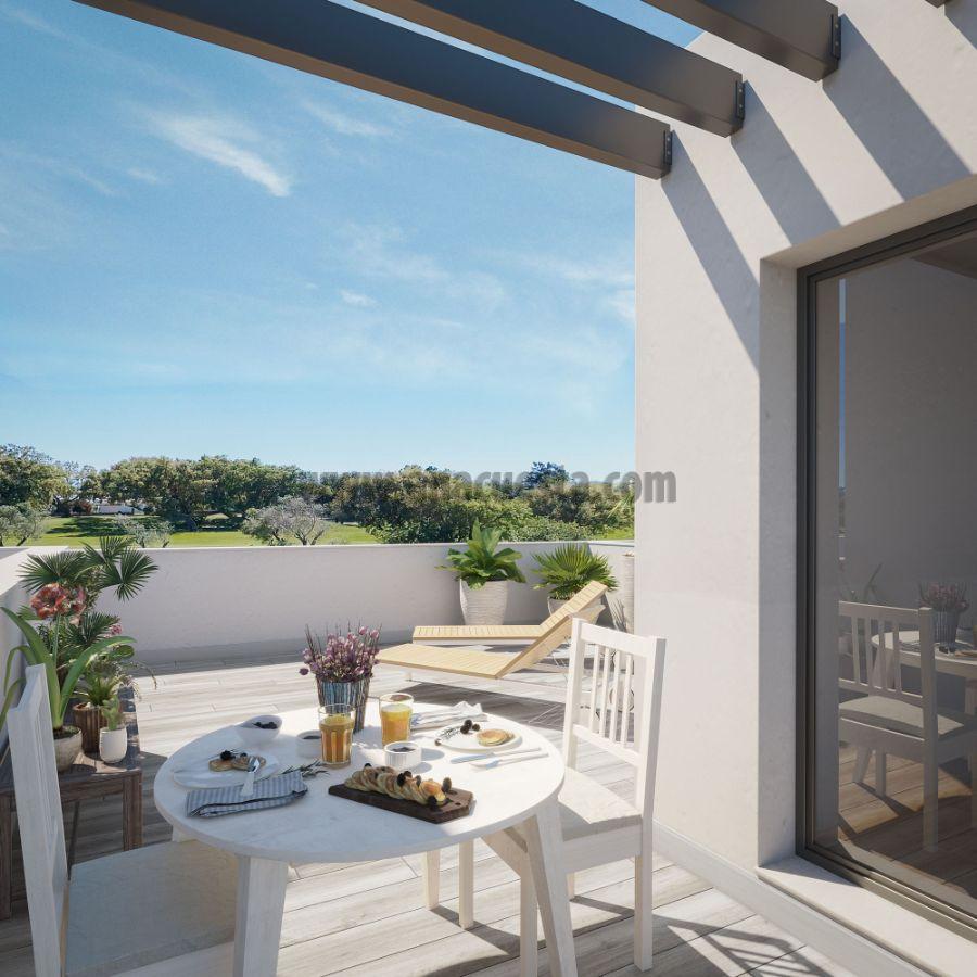 Terrace Terrace