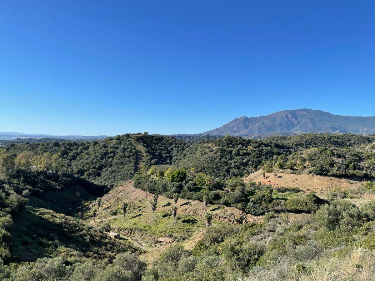 Vistas