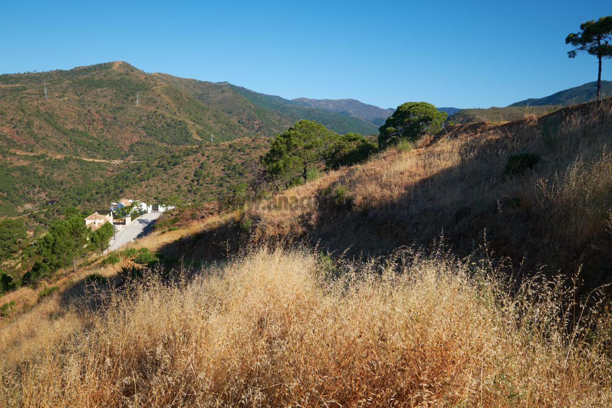 Venta de terreno en Benahavís
