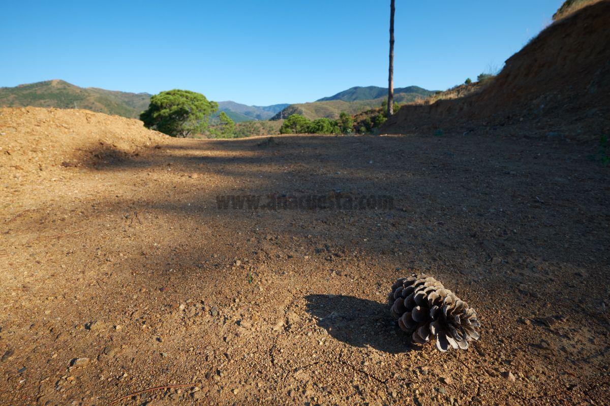 Venta de terreno en Benahavís