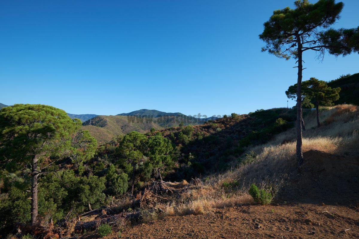 Venta de terreno en Benahavís