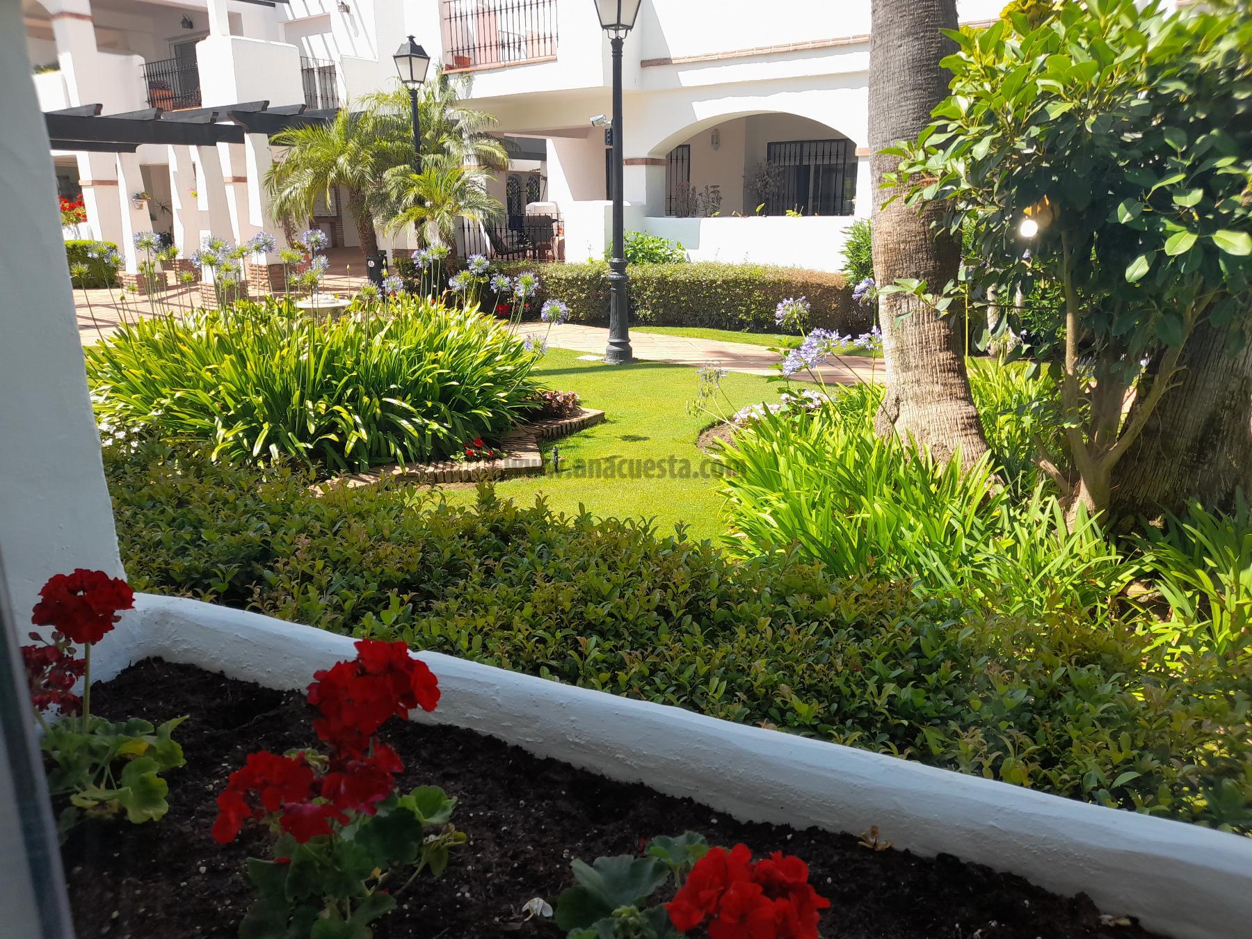 For sale of apartment in San Pedro de Alcántara