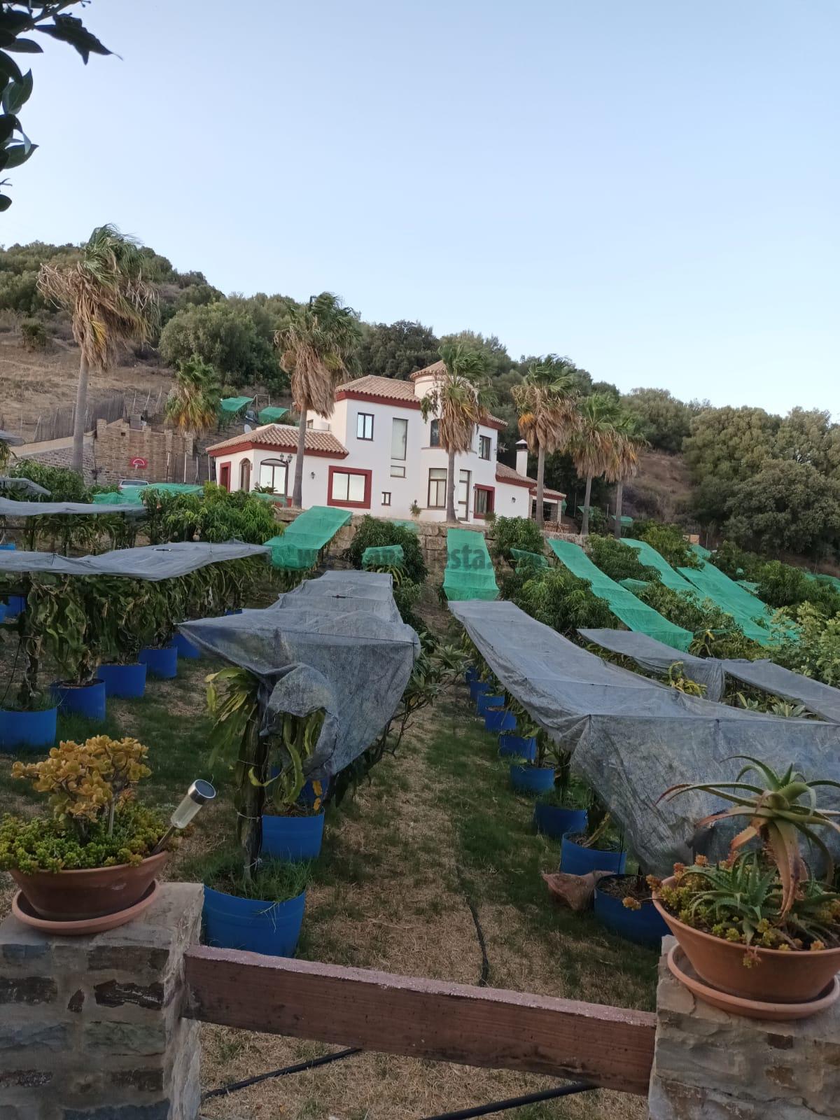 Venta de finca rústica en Estepona