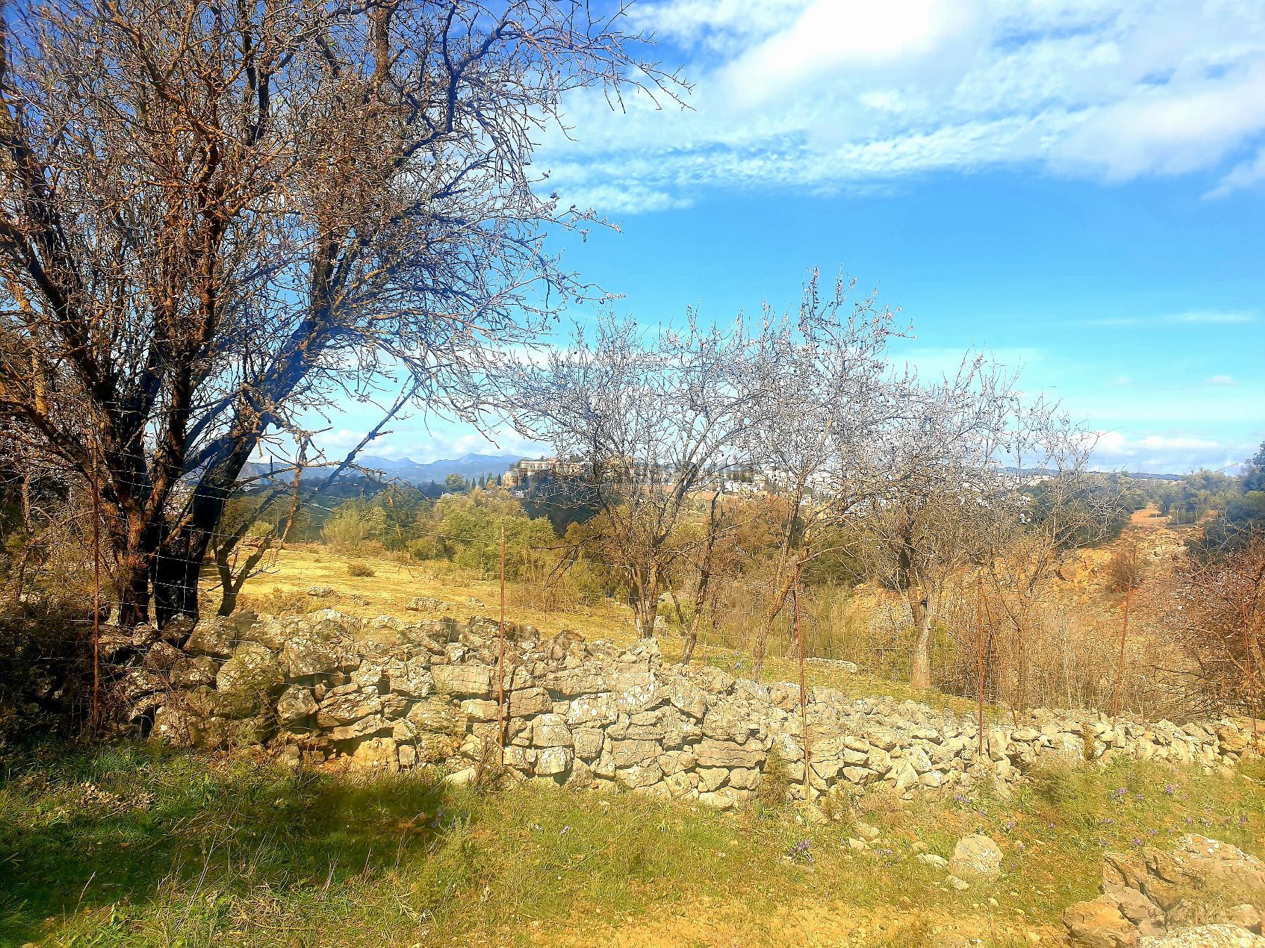 Venta de finca rústica en Ronda