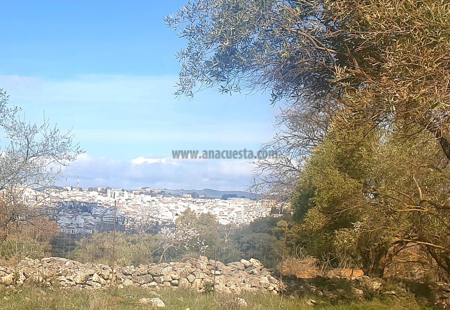 Venta de finca rústica en Ronda