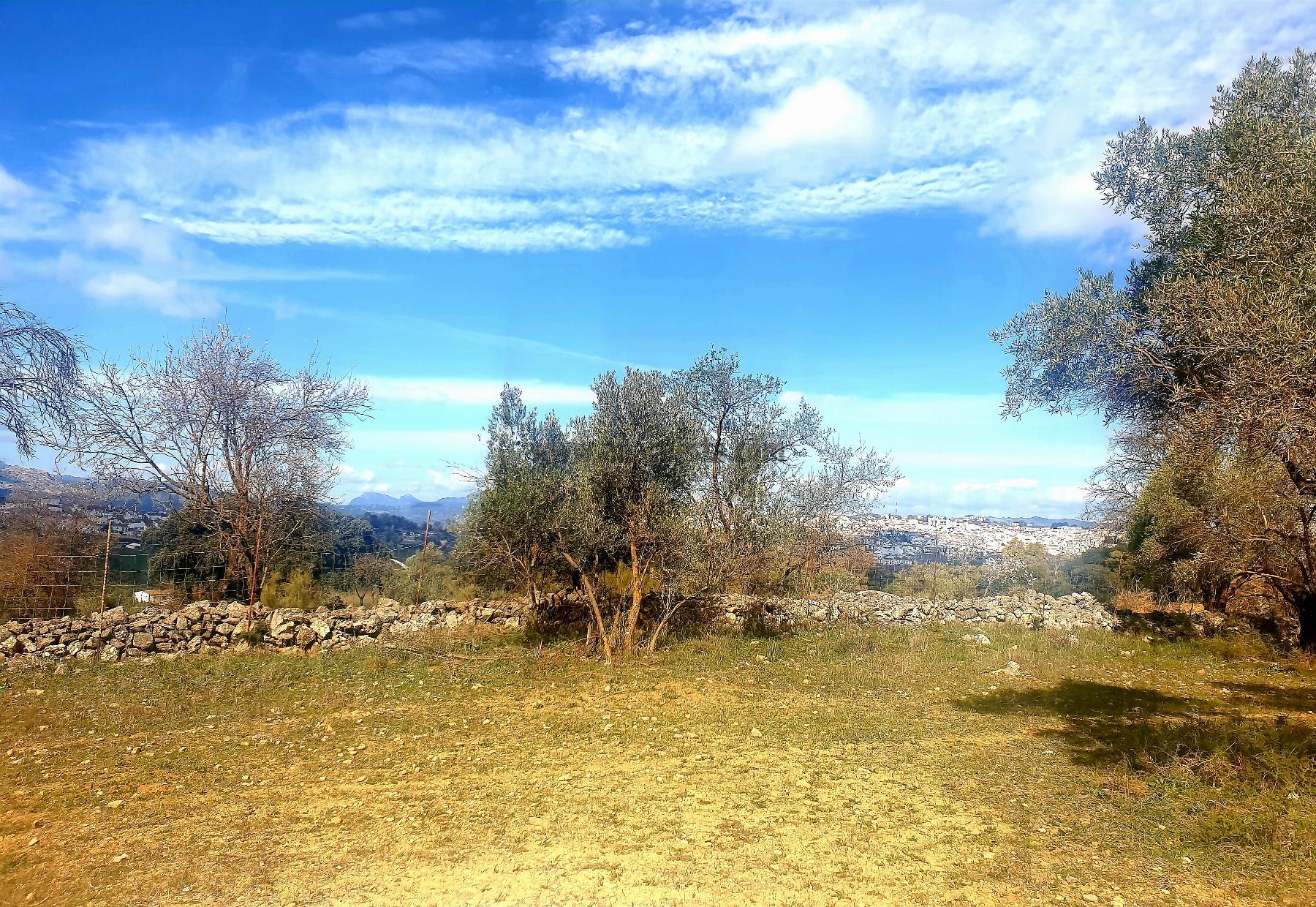 Venta de finca rústica en Ronda