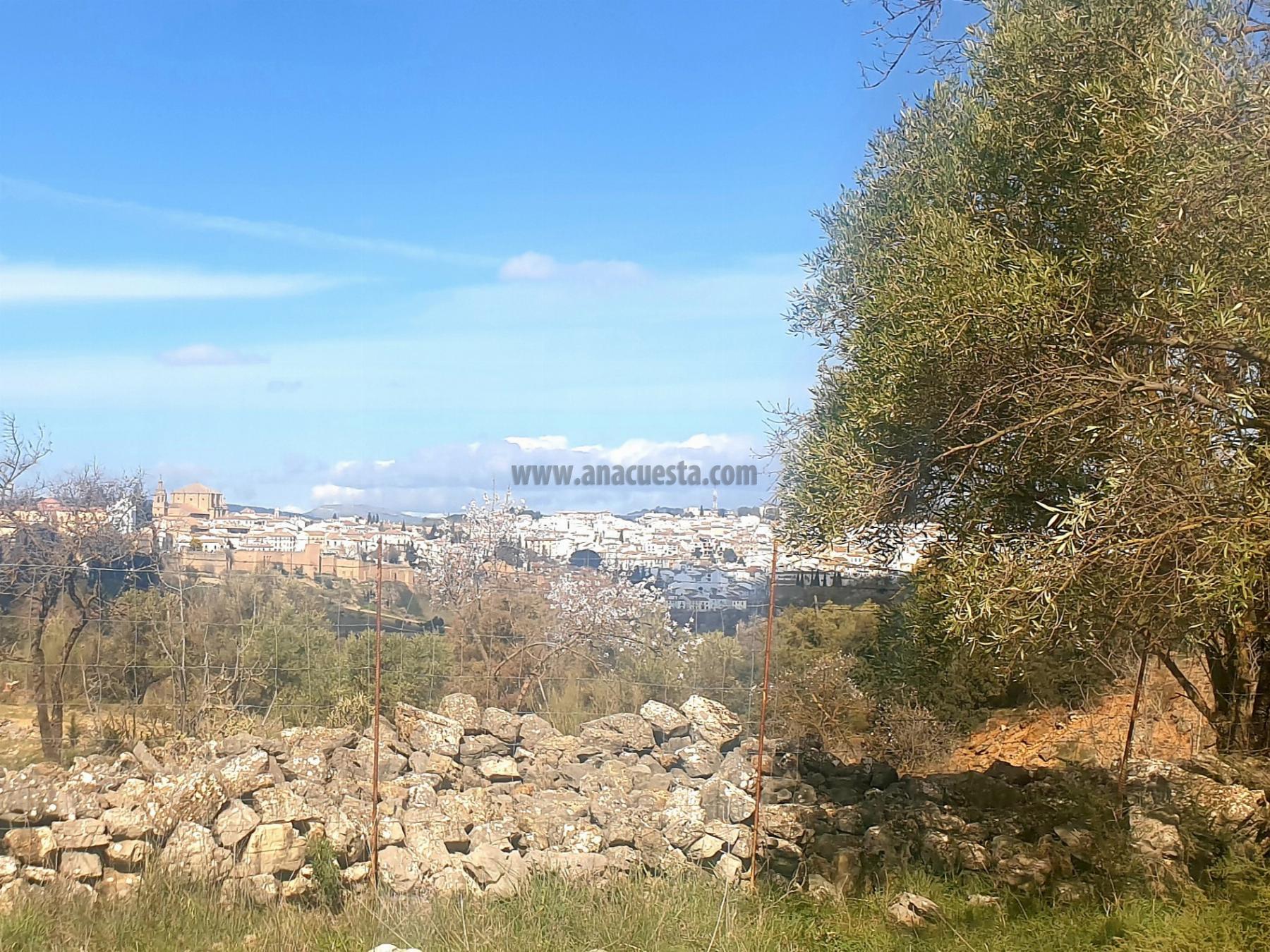 Venta de finca rústica en Ronda