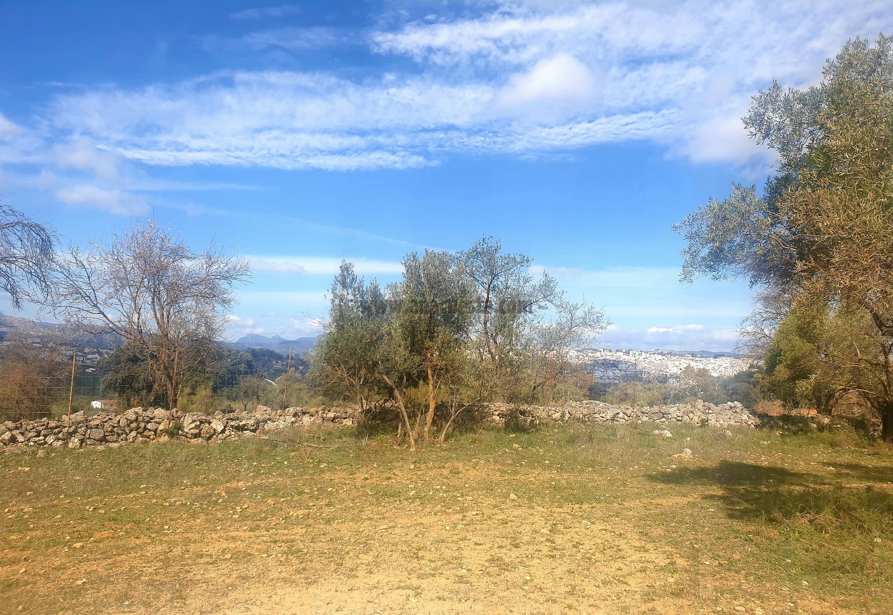 Venta de finca rústica en Ronda
