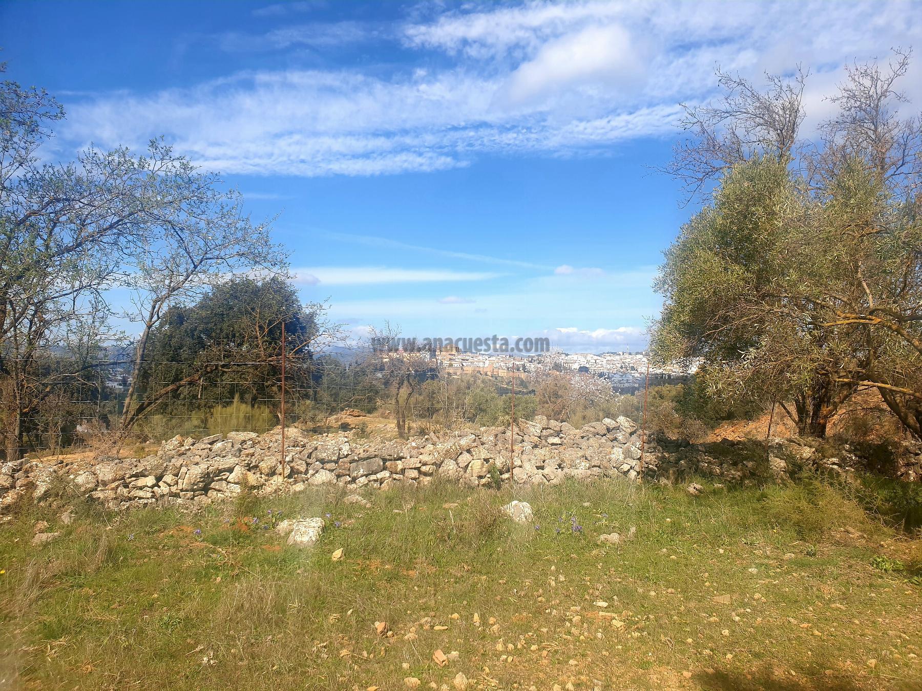 Venta de finca rústica en Ronda