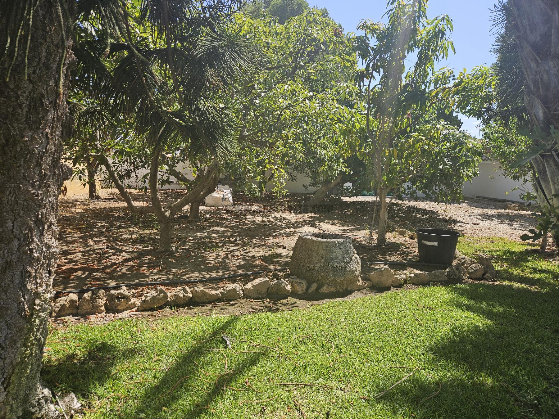 De location de villa dans Estepona