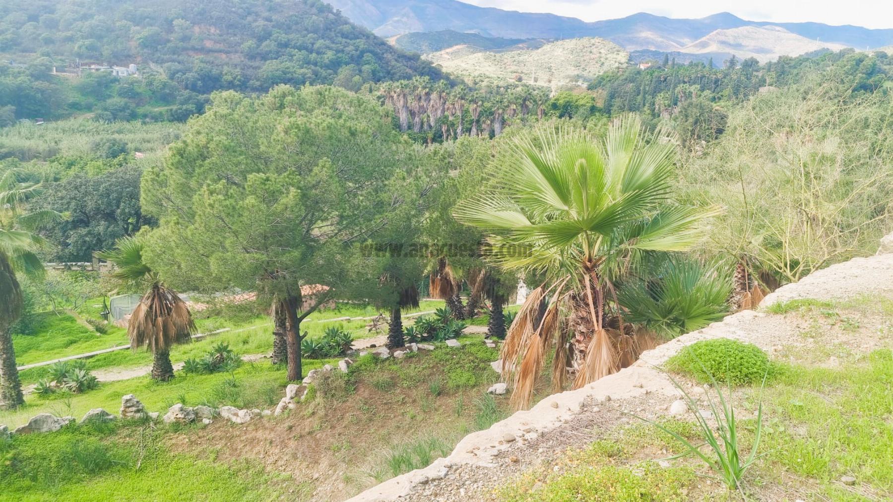 For sale of chalet in Estepona