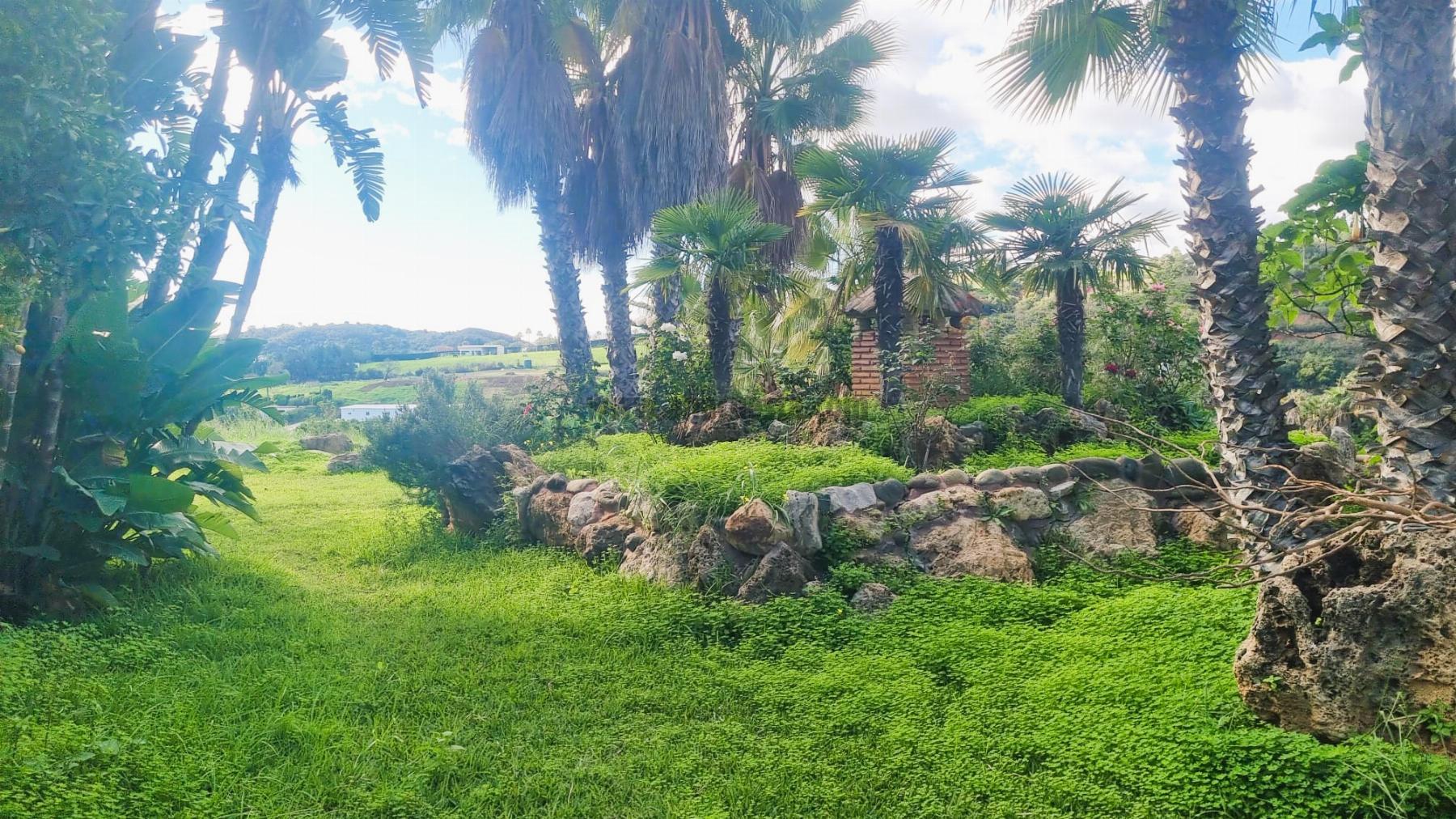 For sale of chalet in Estepona