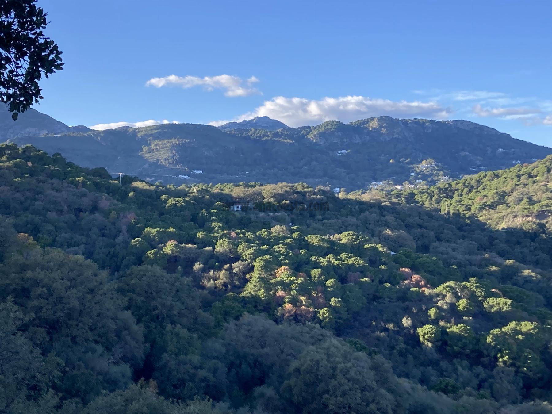 Vente de terrain dans Casares