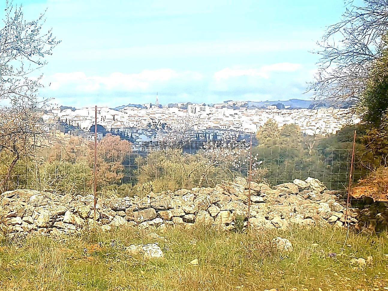 Venta de terreno en Ronda