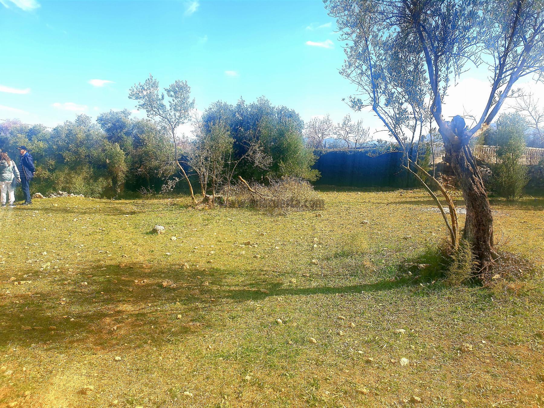 Venta de terreno en Ronda