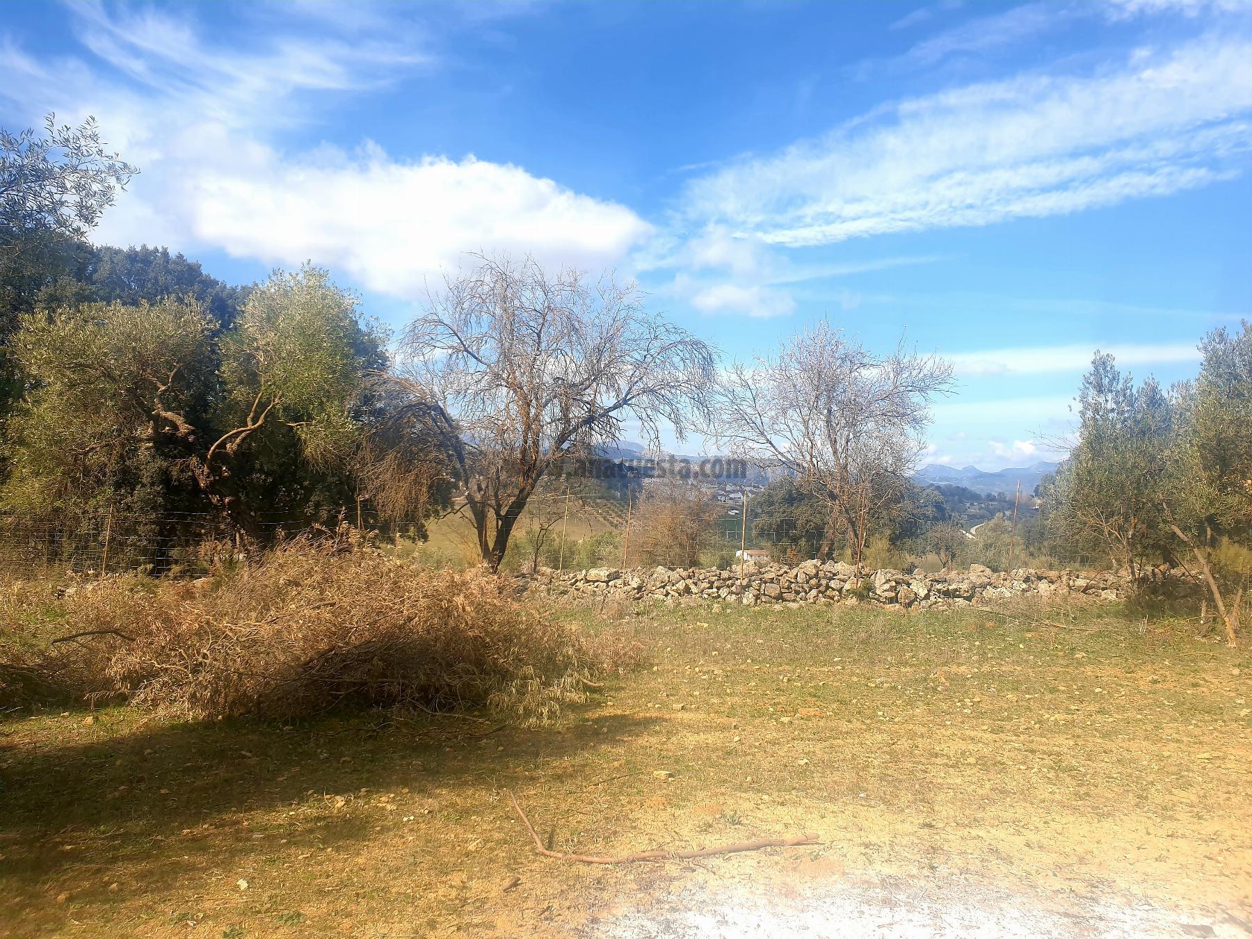 Venta de terreno en Ronda