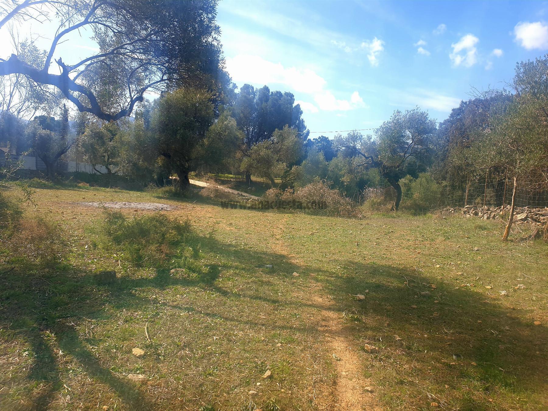 Venta de terreno en Ronda