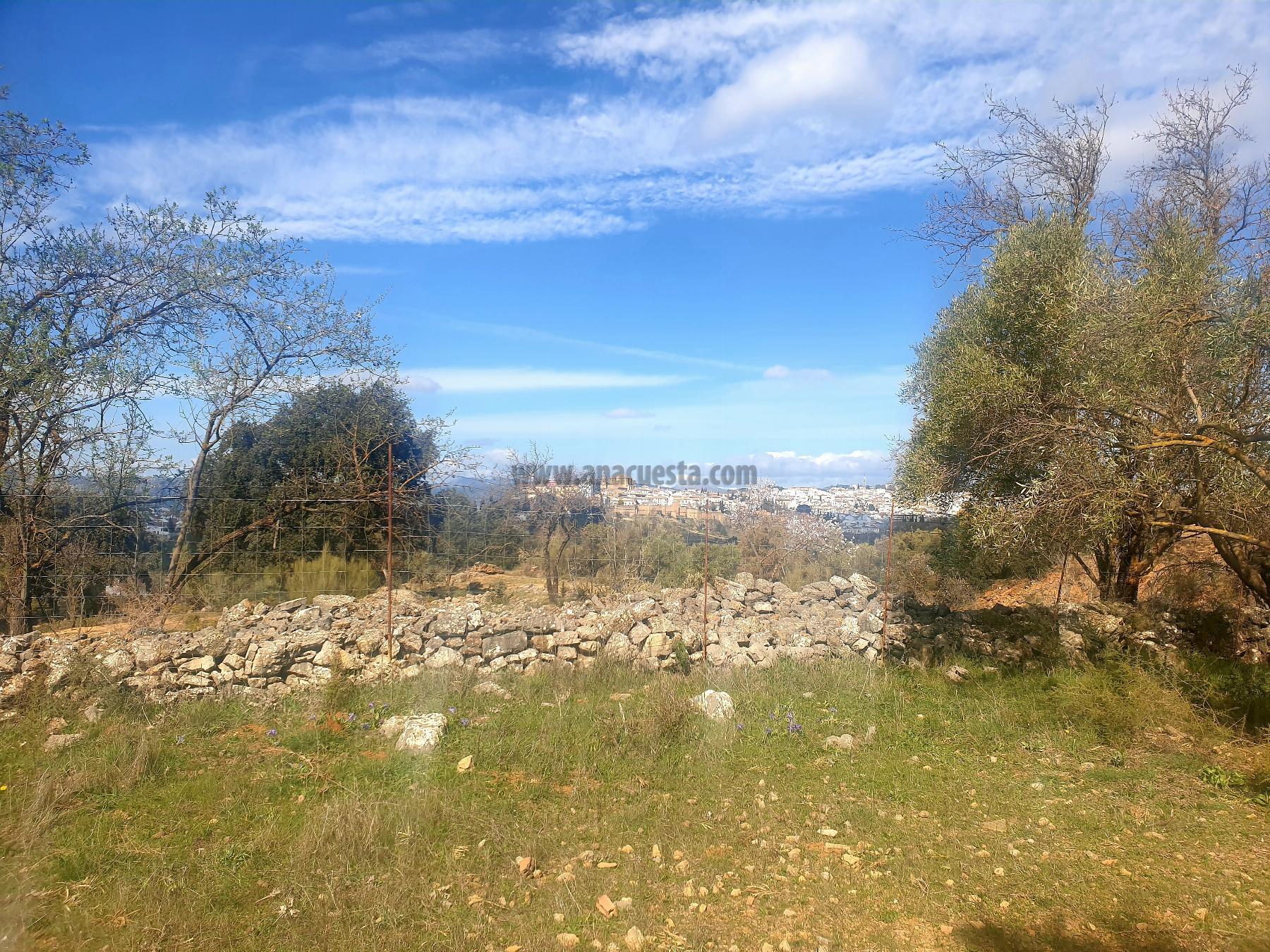 Venta de terreno en Ronda