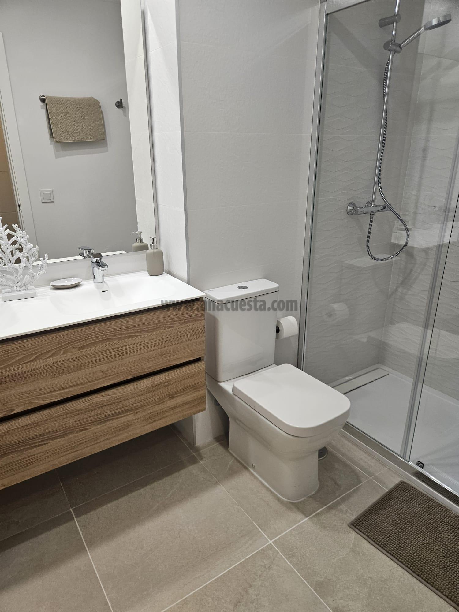 Baño suite