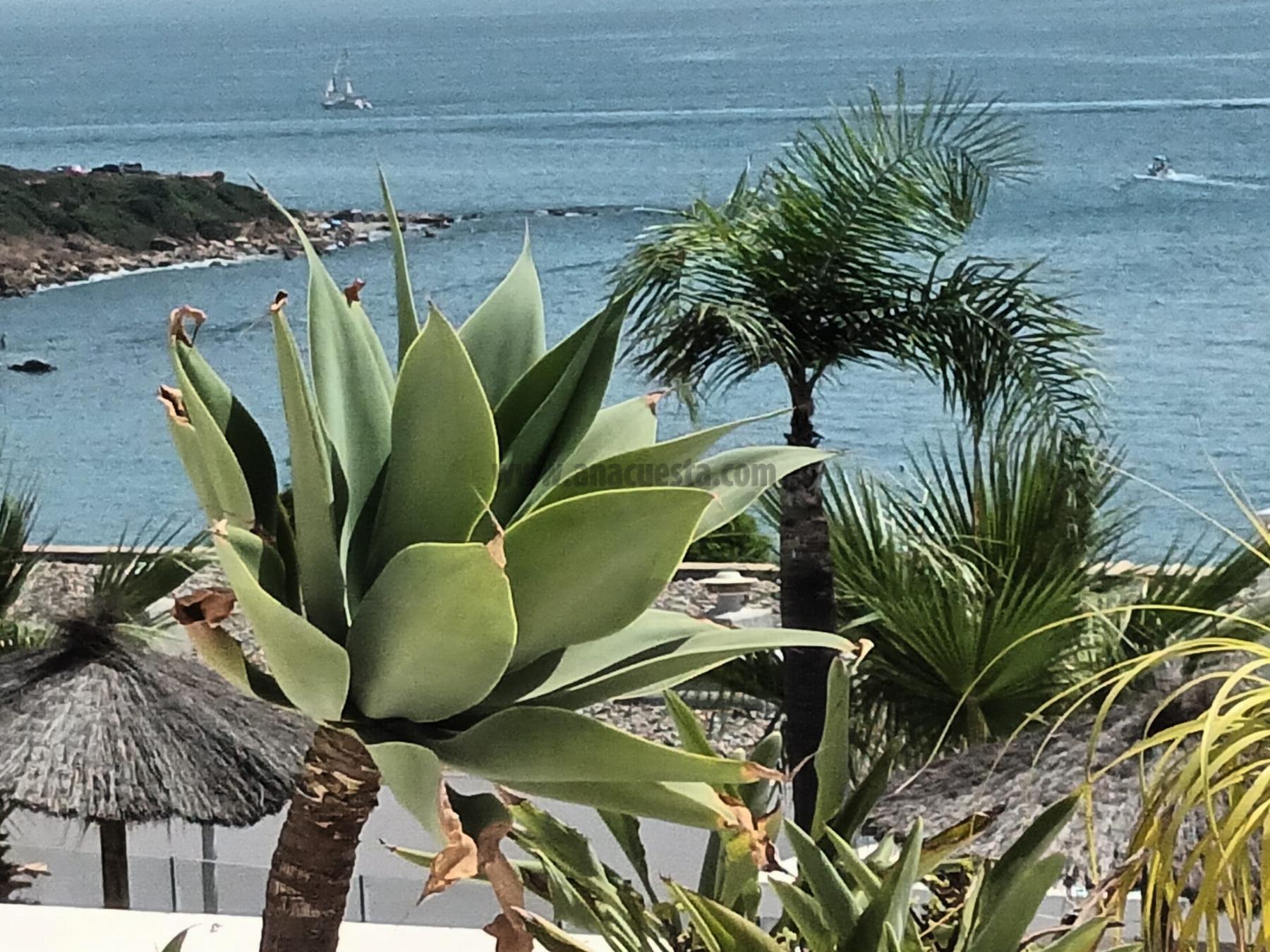 Venta de apartamento en San Roque