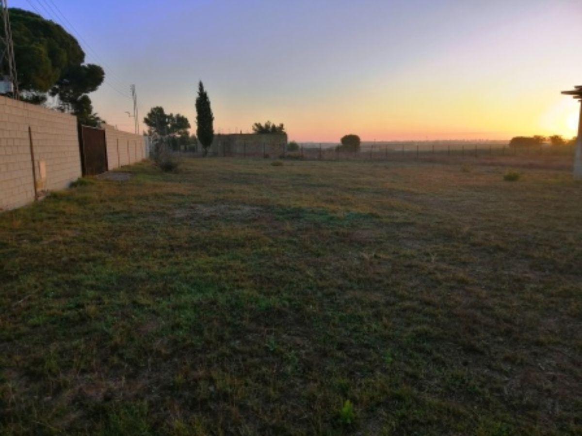 For sale of land in Alcalá de Guadaíra