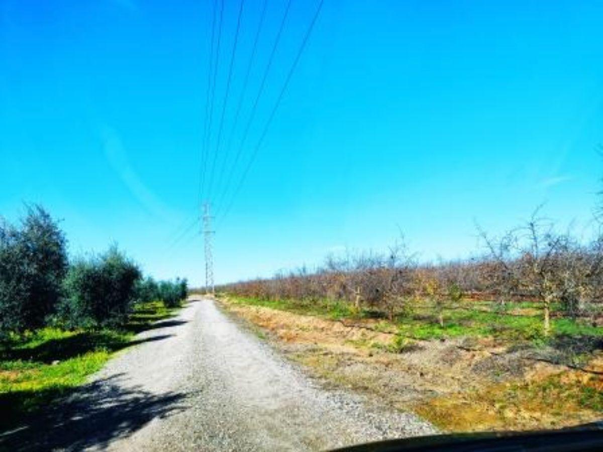 For sale of rural property in Aznalcázar