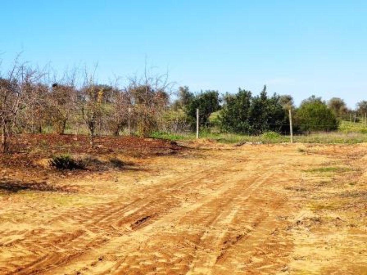 For sale of rural property in Aznalcázar