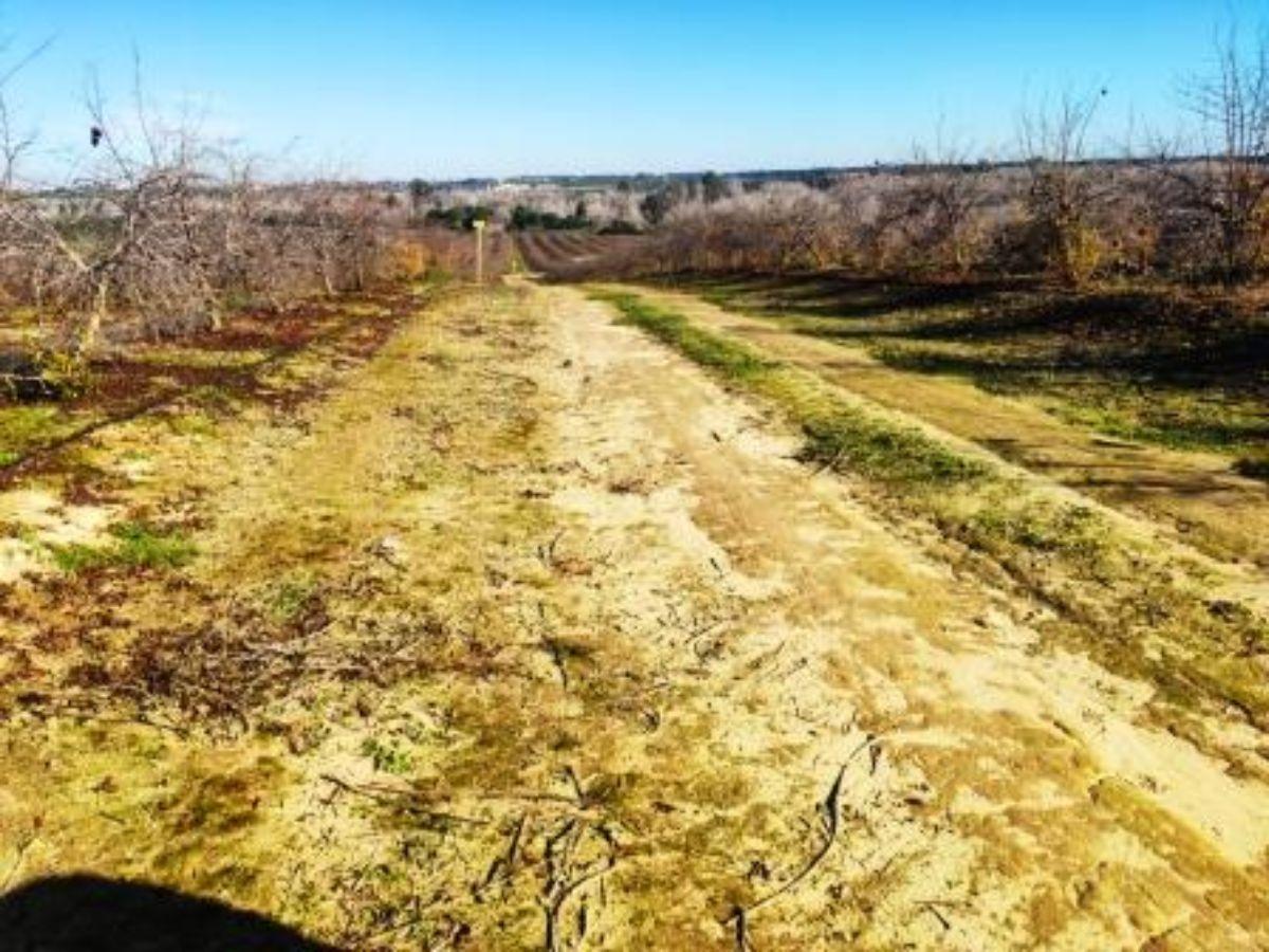 For sale of rural property in Aznalcázar