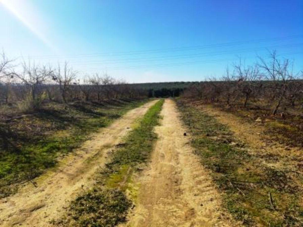 For sale of rural property in Aznalcázar