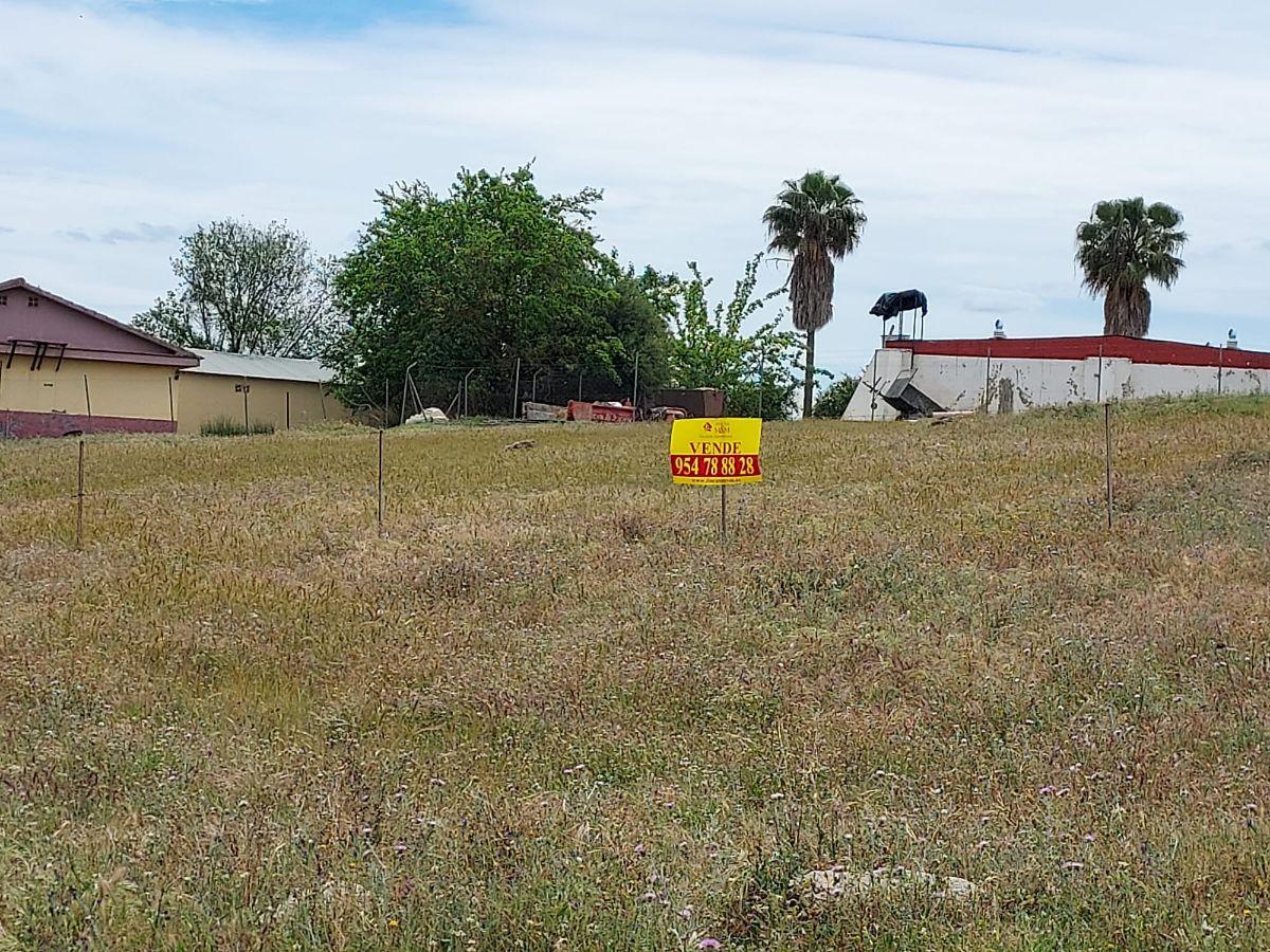 For sale of land in Sanlúcar la Mayor