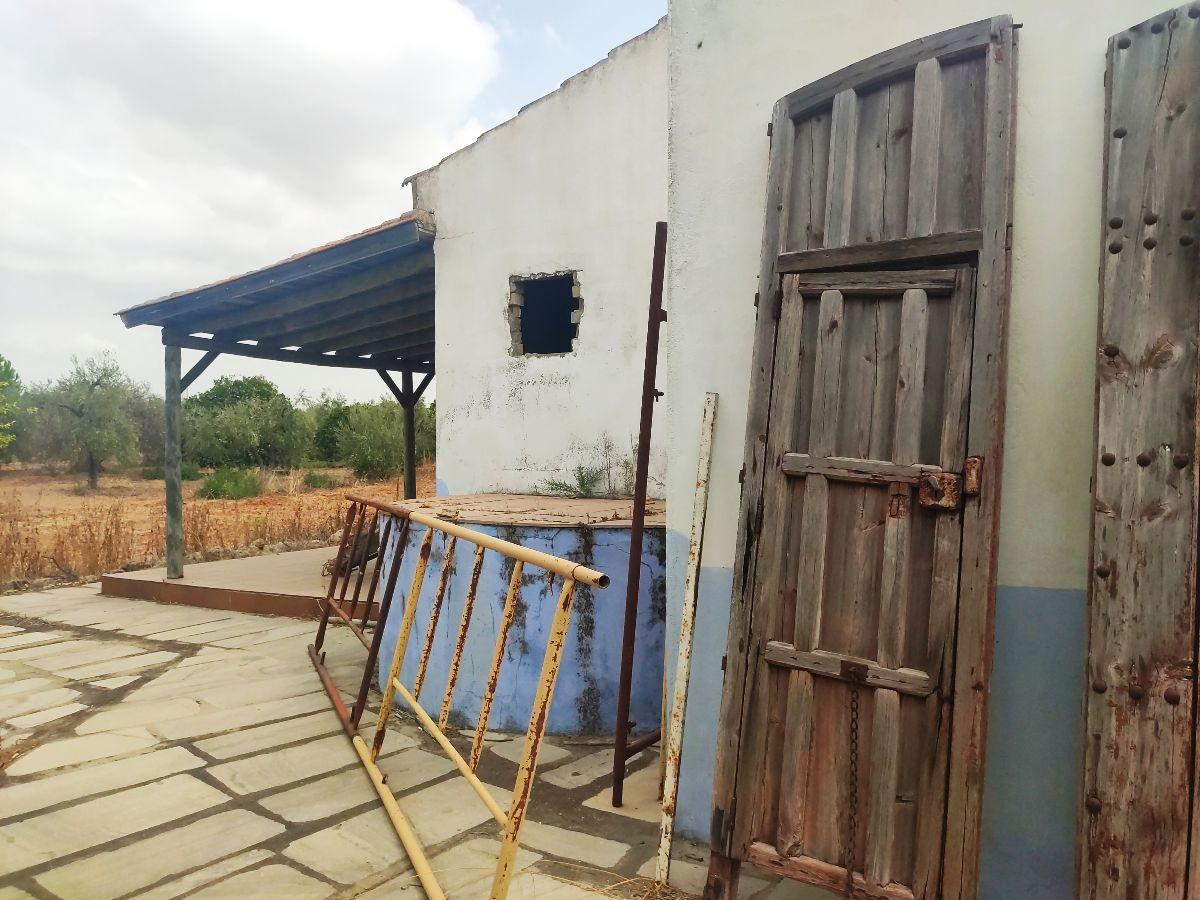 Venta de finca rústica en Benacazón