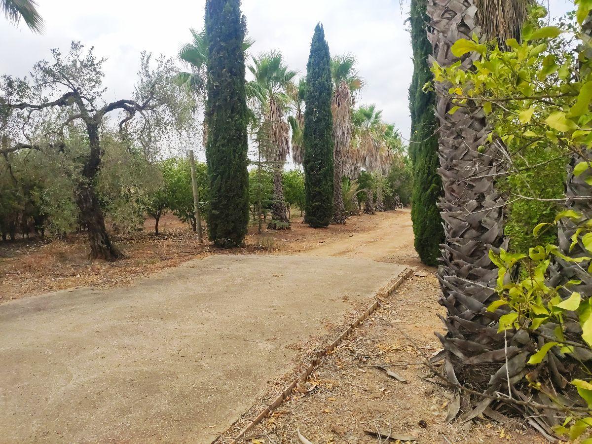 Venta de finca rústica en Benacazón