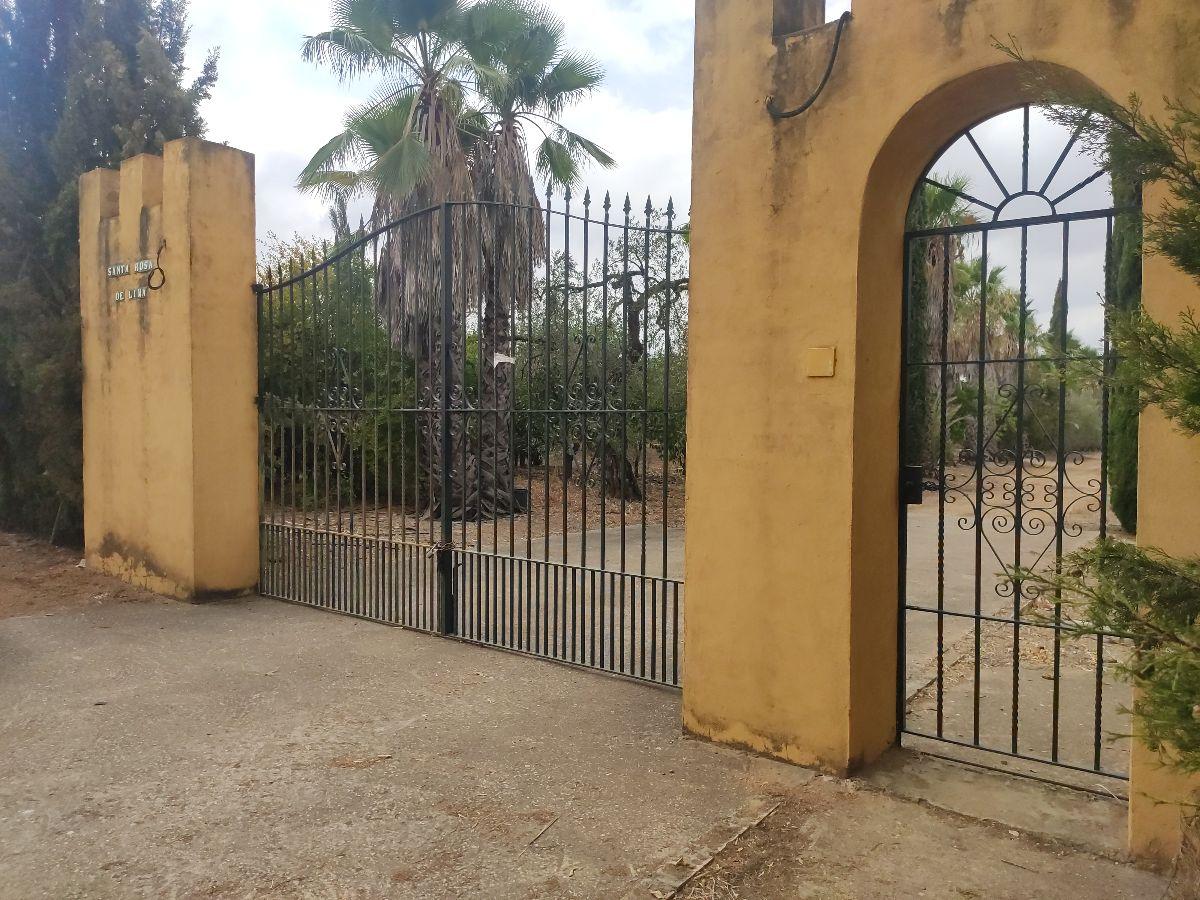 Venta de finca rústica en Benacazón
