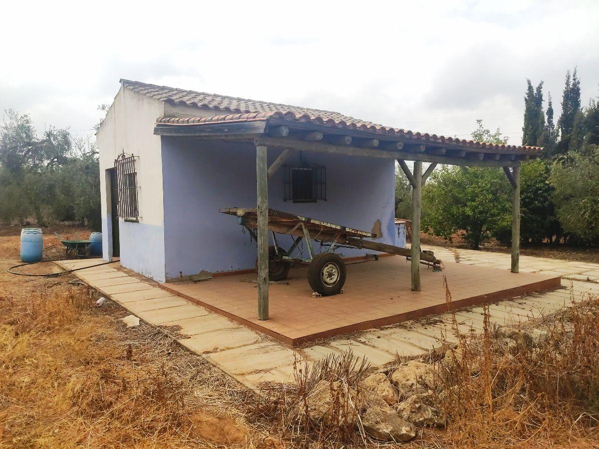 For sale of rural property in Benacazón