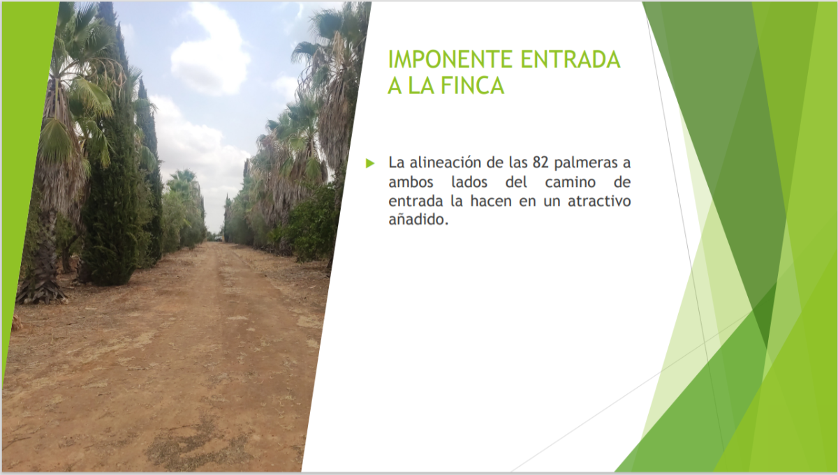 Venta de finca rústica en Benacazón