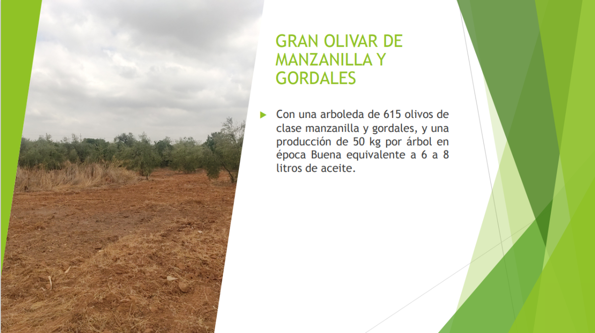 Venta de finca rústica en Benacazón