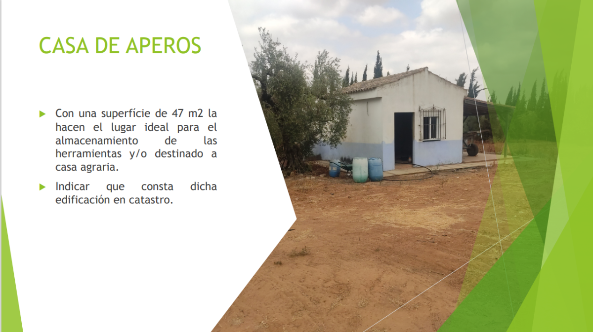 Venta de finca rústica en Benacazón