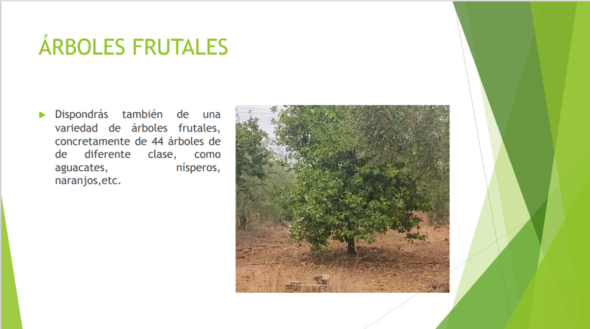 Venta de finca rústica en Benacazón