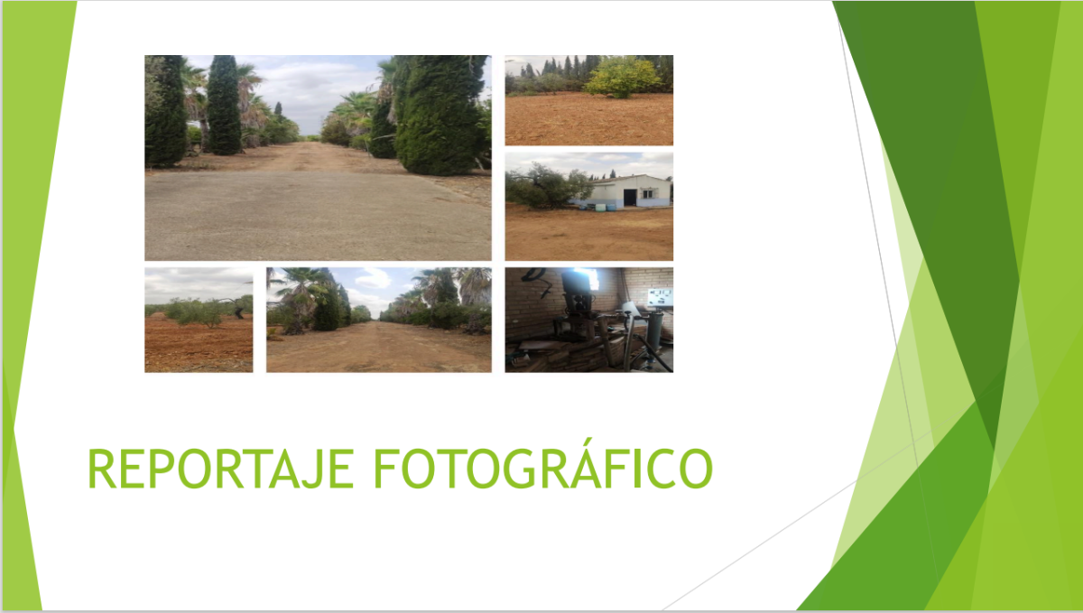 Venta de finca rústica en Benacazón