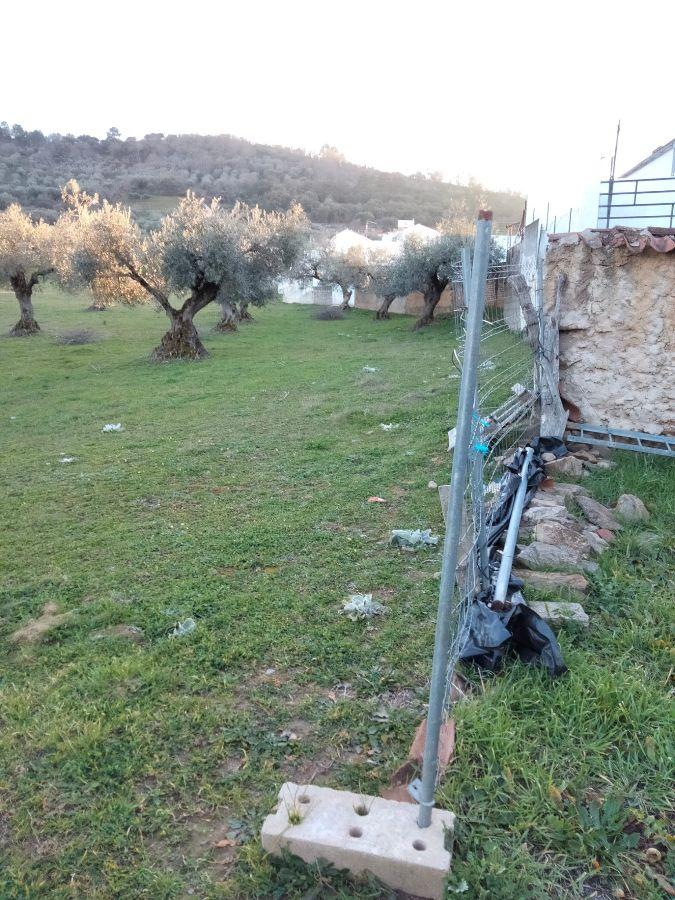 Venta de finca rústica en Cabeza la Vaca