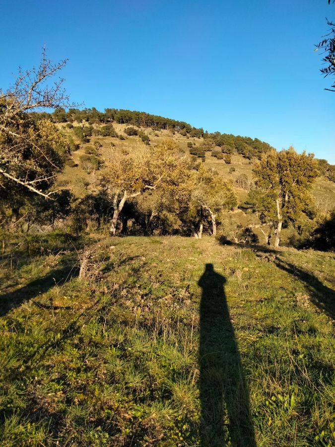 Venta de finca rústica en Cabeza la Vaca