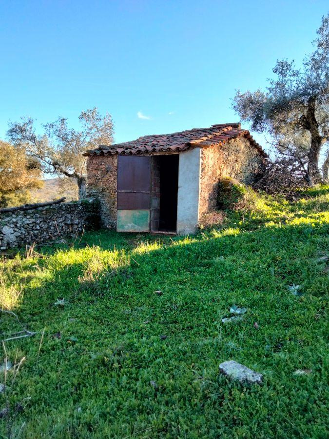 For sale of rural property in Cabeza la Vaca