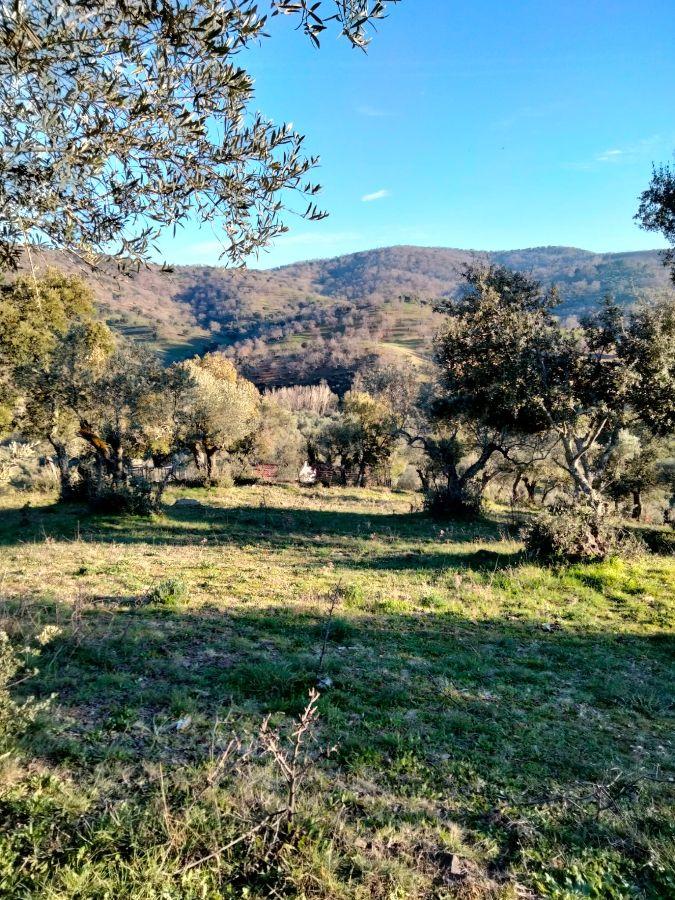 For sale of rural property in Cabeza la Vaca