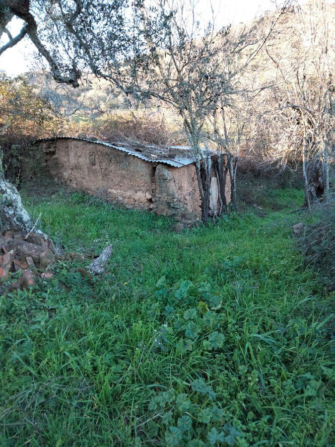 Venta de finca rústica en Cabeza la Vaca