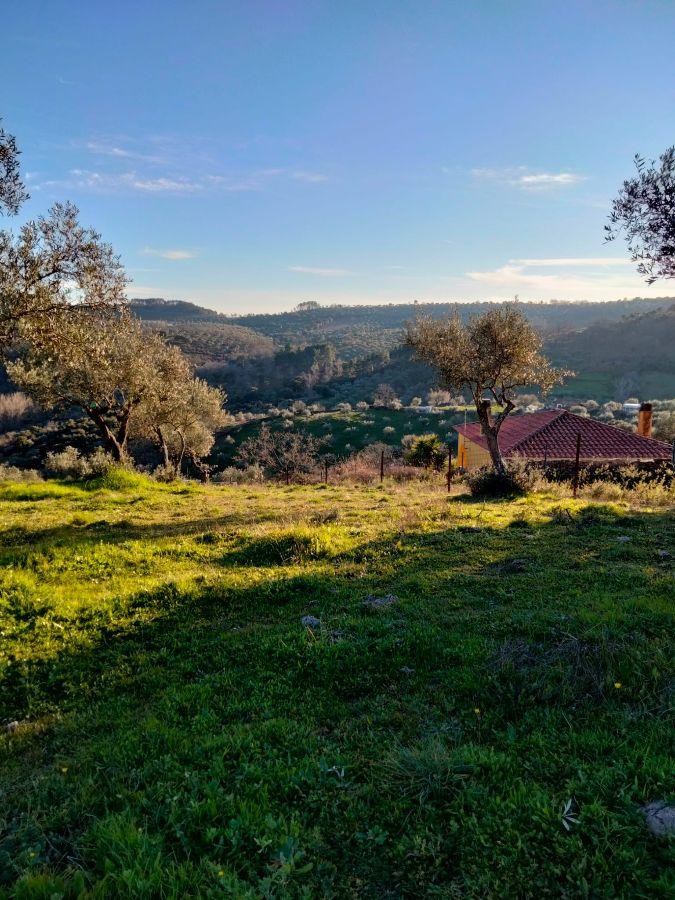 Venta de finca rústica en Cabeza la Vaca