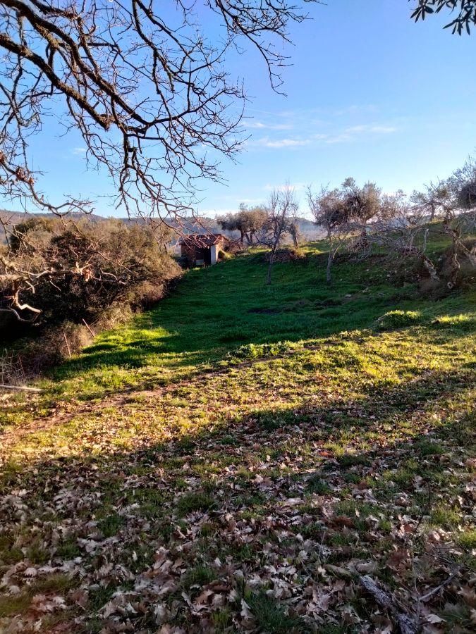 Venta de finca rústica en Cabeza la Vaca