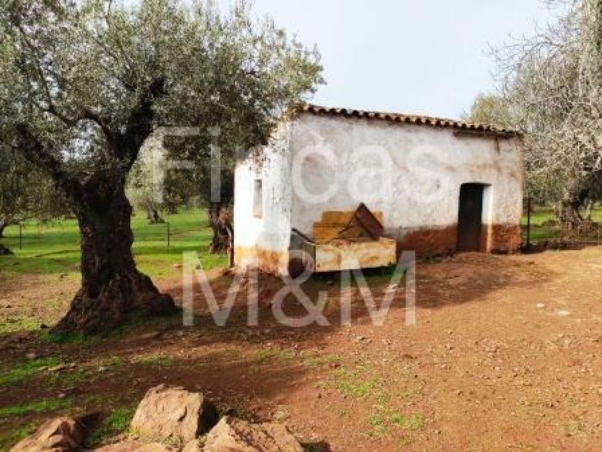 For sale of rural property in Fuentes de León