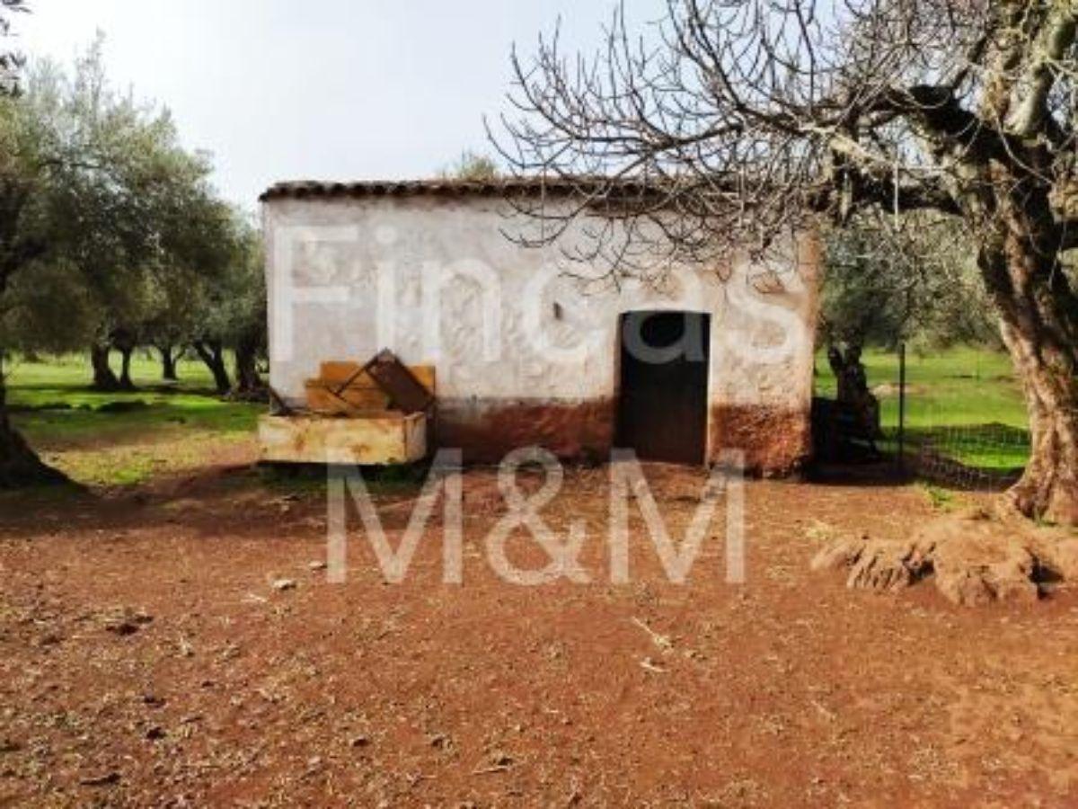 For sale of rural property in Fuentes de León