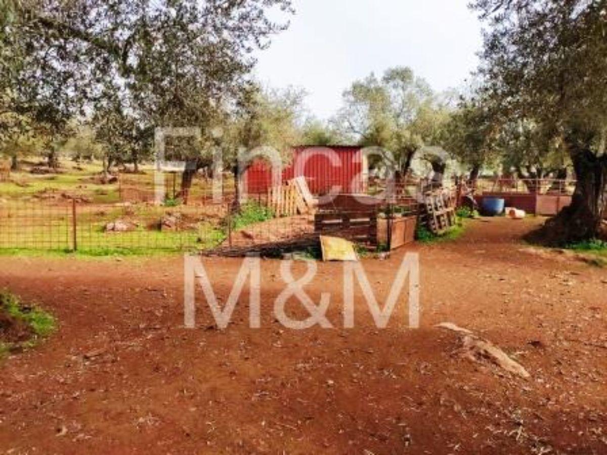 For sale of rural property in Fuentes de León